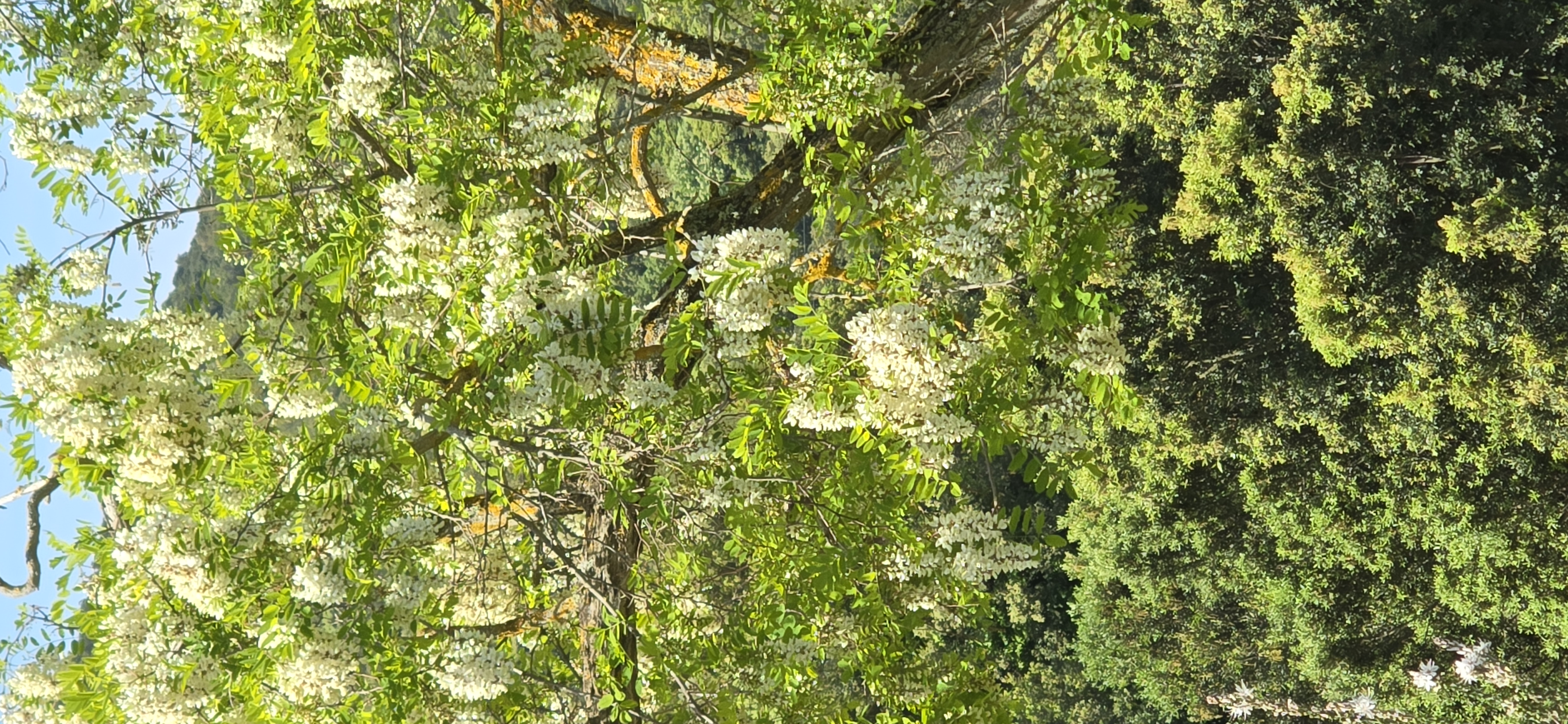 La retenue d'eau en images 13