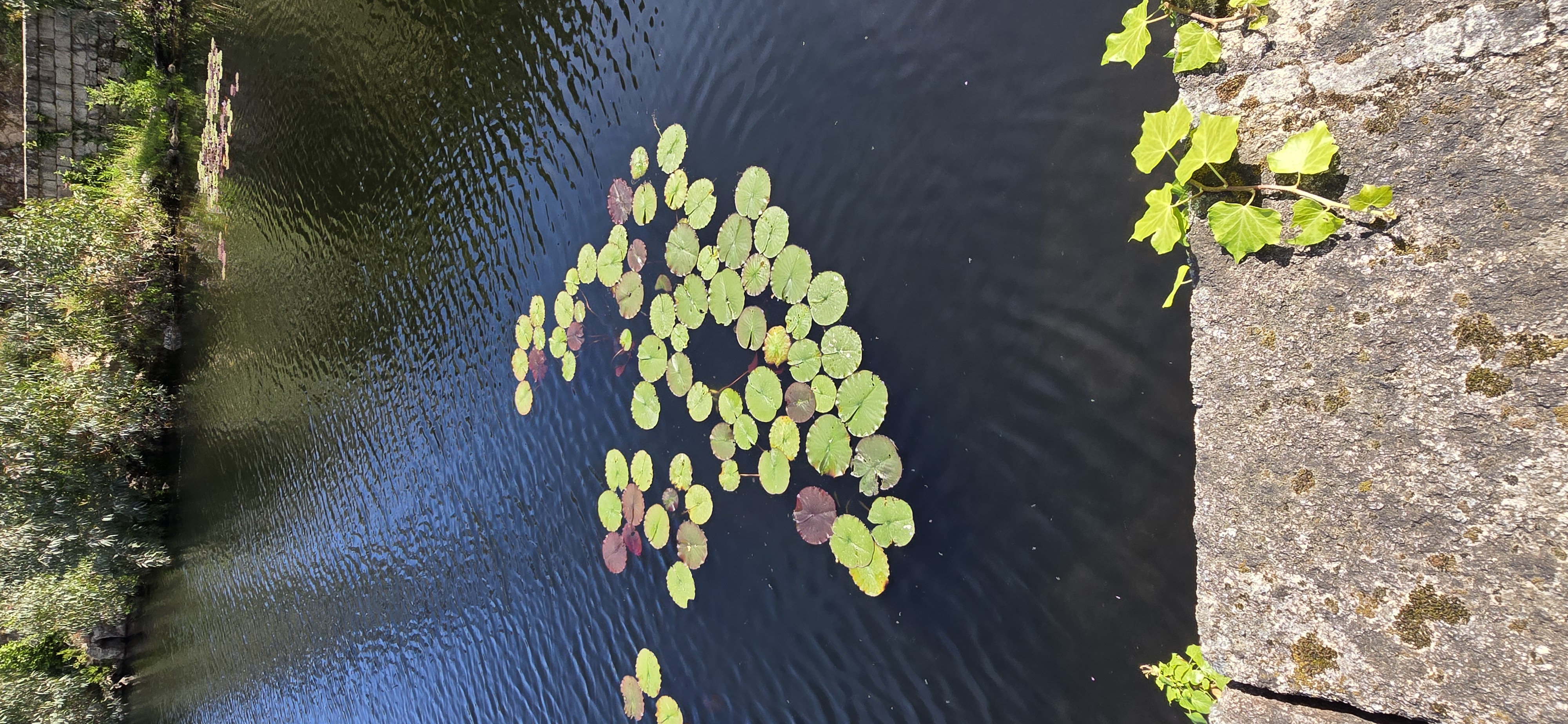 La retenue d'eau en images 31