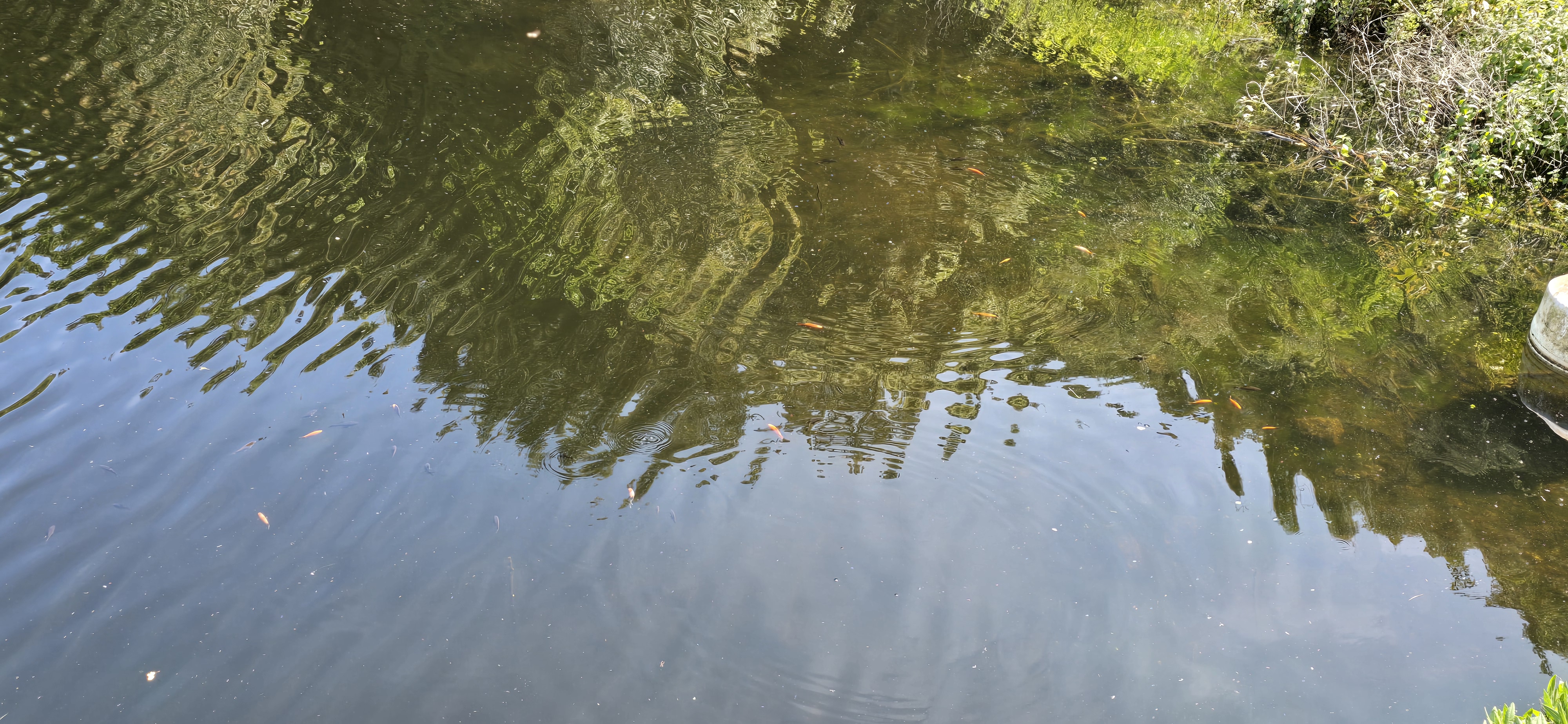 La retenue d'eau en images 33
